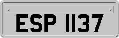 ESP1137