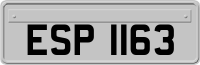ESP1163