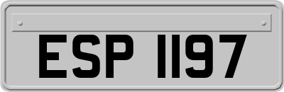 ESP1197