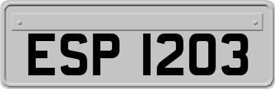 ESP1203