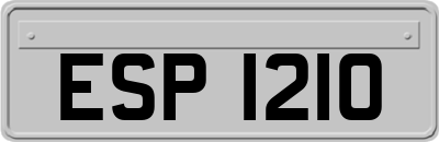 ESP1210