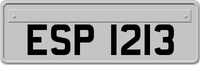 ESP1213