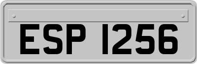 ESP1256
