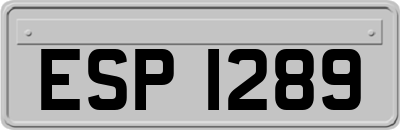 ESP1289