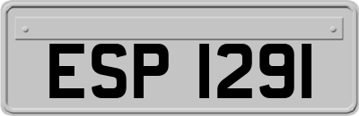 ESP1291