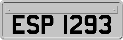 ESP1293