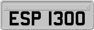 ESP1300