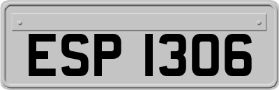 ESP1306