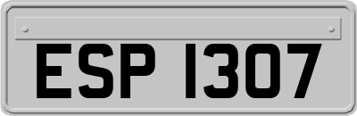 ESP1307