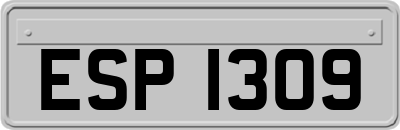 ESP1309