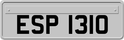 ESP1310