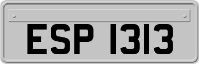 ESP1313