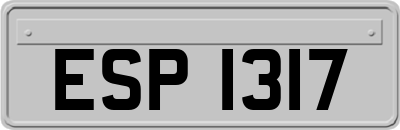 ESP1317