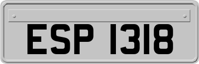 ESP1318
