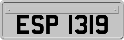 ESP1319