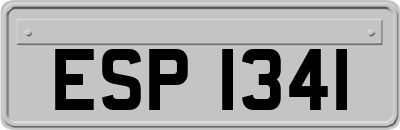 ESP1341
