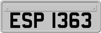 ESP1363