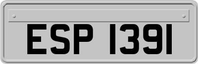 ESP1391