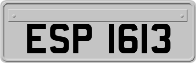 ESP1613
