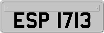 ESP1713