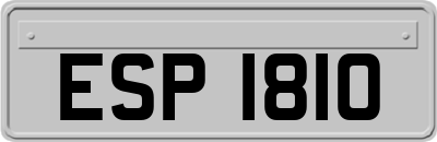 ESP1810
