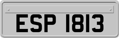 ESP1813