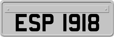 ESP1918