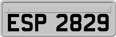 ESP2829