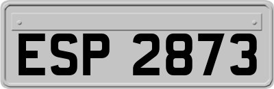 ESP2873