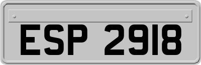 ESP2918