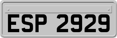 ESP2929