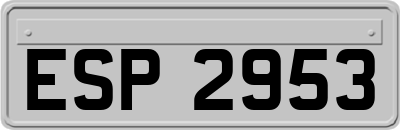 ESP2953
