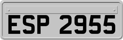 ESP2955