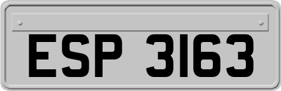 ESP3163
