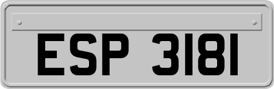ESP3181