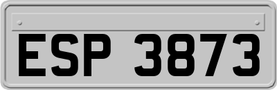ESP3873