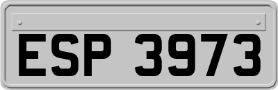ESP3973