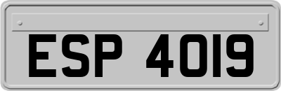 ESP4019