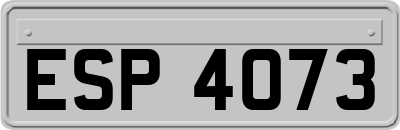 ESP4073