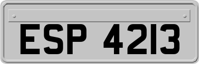ESP4213