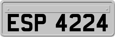 ESP4224