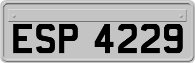 ESP4229