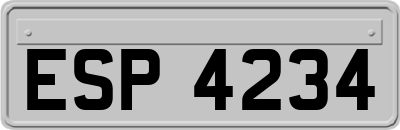 ESP4234