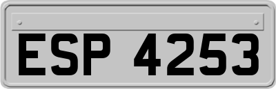ESP4253