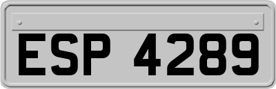 ESP4289