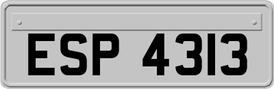 ESP4313