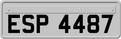 ESP4487