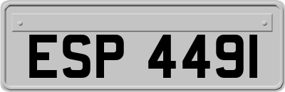 ESP4491