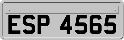 ESP4565