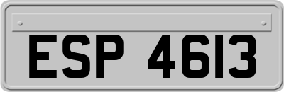 ESP4613